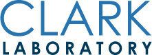 The Clark Laboratory Logo